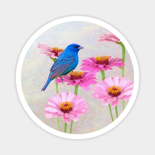 Indigo Bunting and Pink Zinnia Magnet